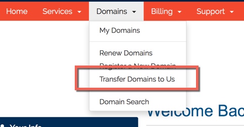 Transfer domain to us